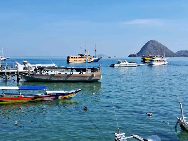 【インドネシア】コモド島周辺でのんびりひとり旅