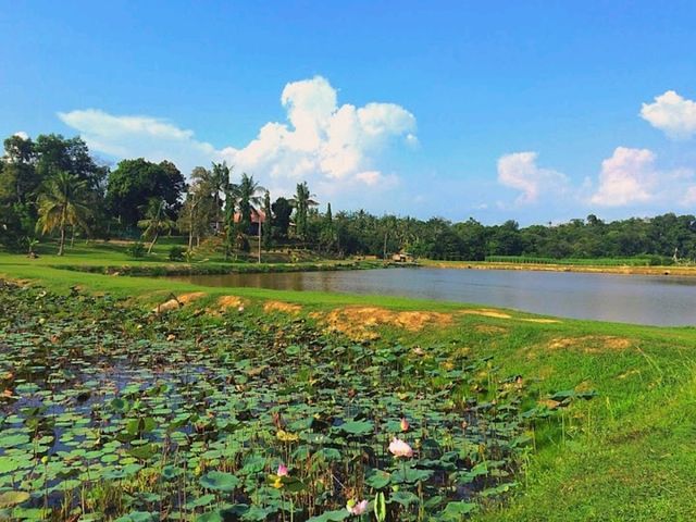 Kampung Bongsu Farmstay