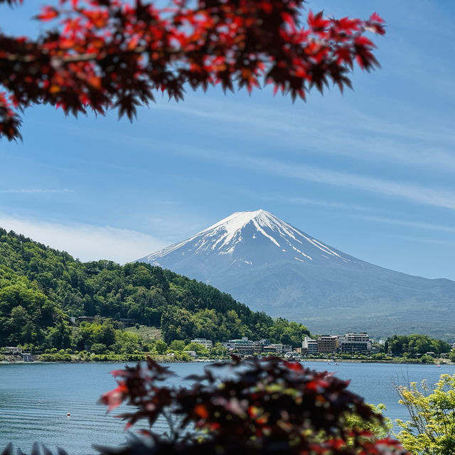 Fuji on May 