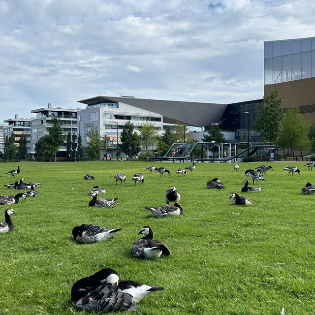 Summer in Helsinki, Finland