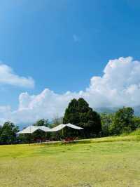 【長野県:白馬】自然と絶景を満喫するならここ！白馬マウンテンリゾート