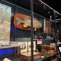 National Museum of Australia: A Journey Through Time and Culture