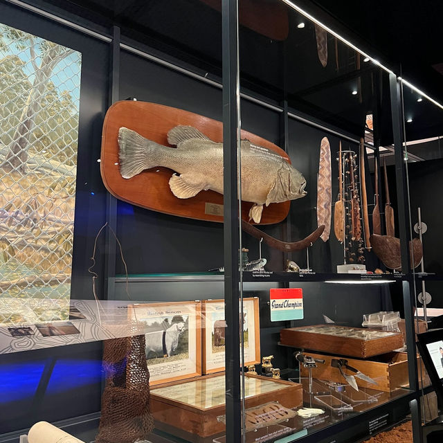 National Museum of Australia: A Journey Through Time and Culture