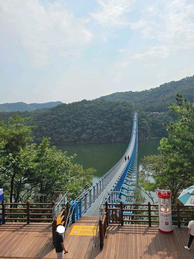 초평호 위의 아찔한🫣 출렁다리 