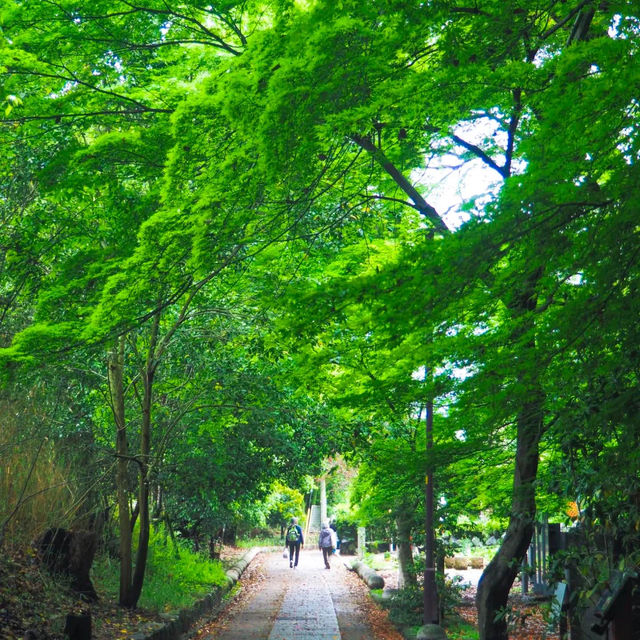 大國主神社⚜️祥和寶地