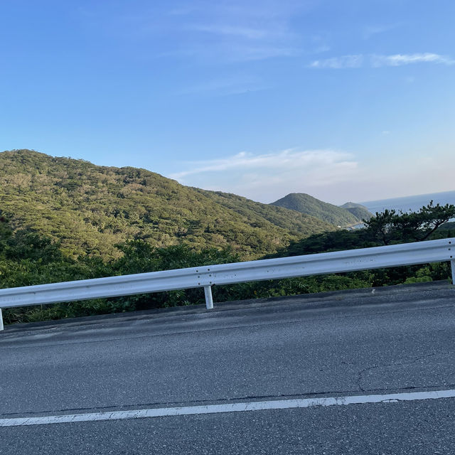 【渡嘉敷島旅行】自然と昔ながらの風景を楽しもう！