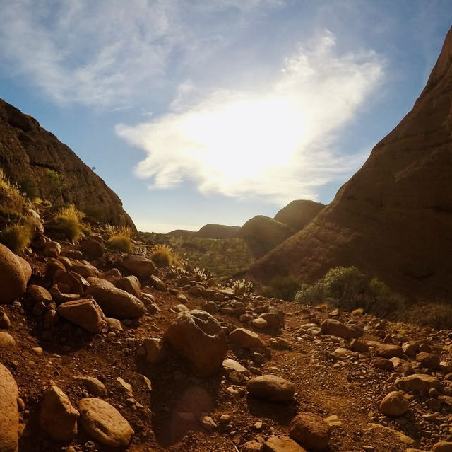 The Natural Wonder of the Wind Walk: A Journey Through Scenic Majesty