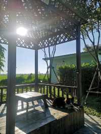 ที่พักลับ กลางทุ่งนา Escape Cottage