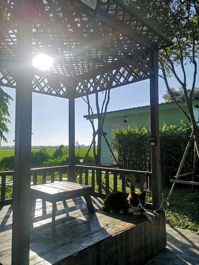 ที่พักลับ กลางทุ่งนา Escape Cottage