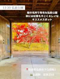 【車なし青森旅行】DAY2