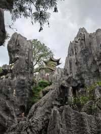 Stone Forest in Kunming 
