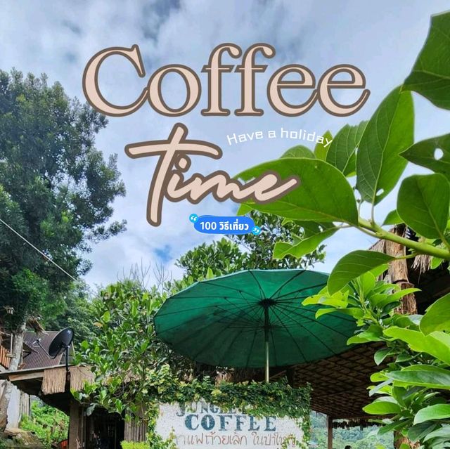 คาเฟ่บนดอย Jungle View Coffee