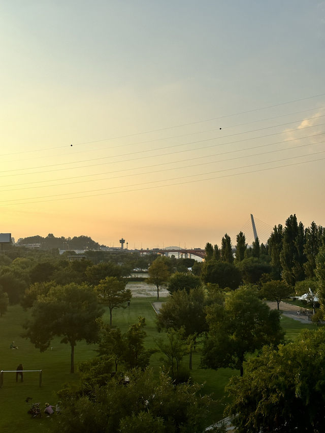 🇰🇷 首爾No.1 漢江公園 這景色真的是排第1名🌳