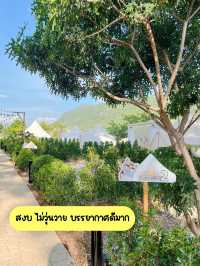⛺️🌿เขาใหญ่งบเบาๆแค่ 800.-/คน