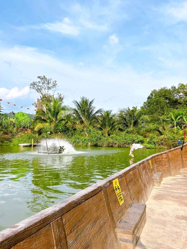 A Fun Day of Animal Encounters at Bentong Farm