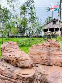 🇸🇬 Australian Outback