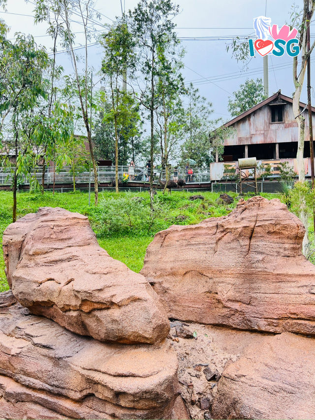 🇸🇬 Australian Outback