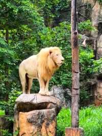 เที่ยวสวนสัตว์กัน