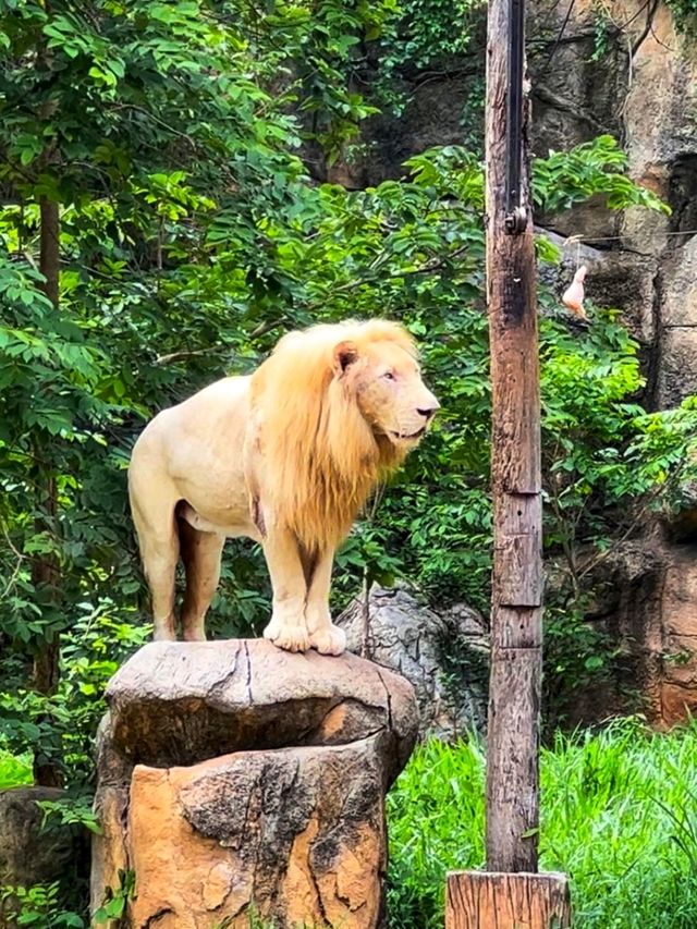 เที่ยวสวนสัตว์กัน