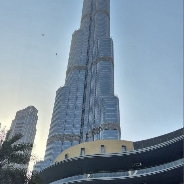 Sky-high Views and Luxury 