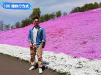 日本北海道-宛如粉紅色地毯的芝櫻花海：東藻琴 芝櫻公園