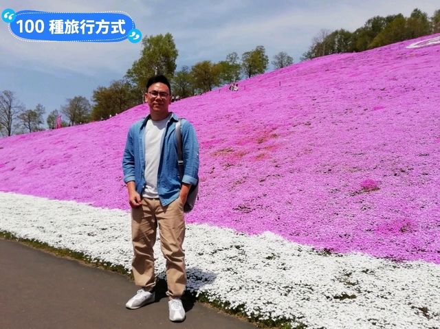 日本北海道-宛如粉紅色地毯的芝櫻花海：東藻琴 芝櫻公園