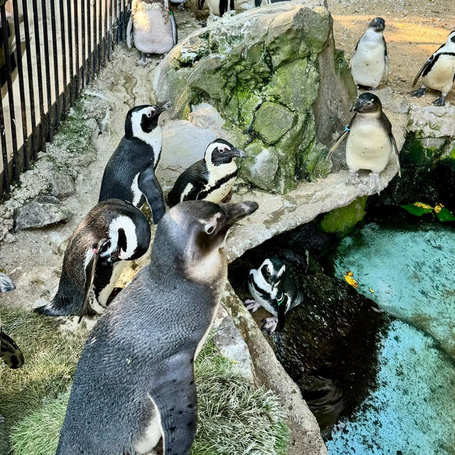 和歌山城公園動物園：親近自然的樂趣🦁🏰🌳