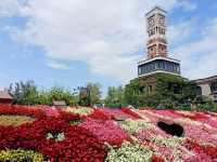 Sweets Wonderland in Hokkaido 
