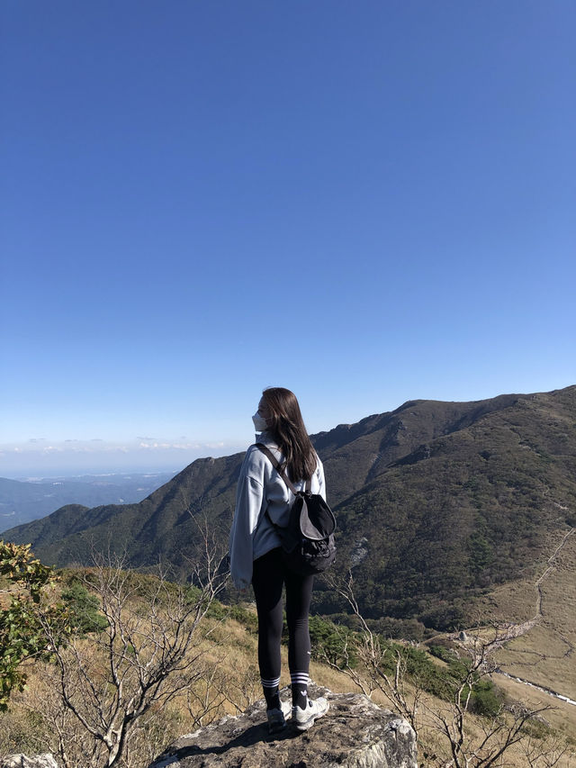 놓칠 수 없는 가을 억새 최고명소🍂 울산 간월재