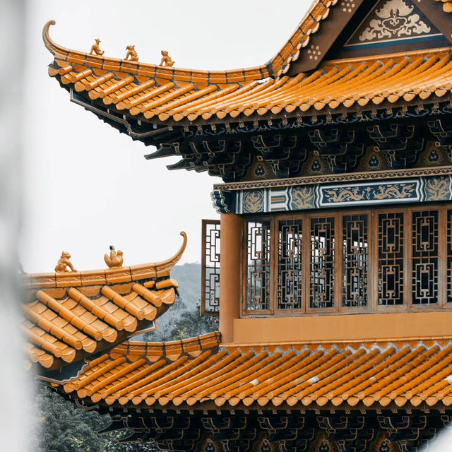 🌿靜心修行的理想之地🧘‍♂️金台寺