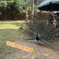 親親大自然🍃好去處