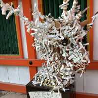【京都】神社巡り　世界遺産！