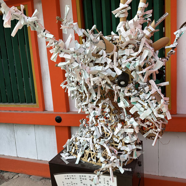 【京都】神社巡り　世界遺産！