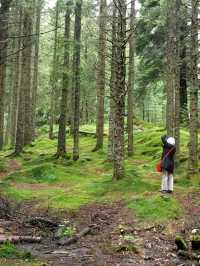 NATURE WALK IN TROLL FOREST, BERGEN