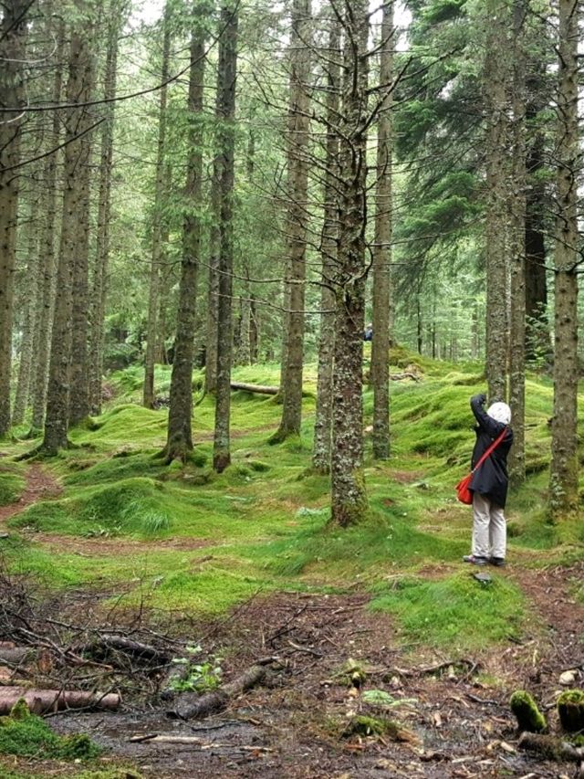 NATURE WALK IN TROLL FOREST, BERGEN