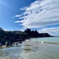 紐西蘭Timaru Dashing Rock看海看海豹