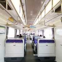 秋の岐阜旅🍁ノスタルジーな電車に乗ります