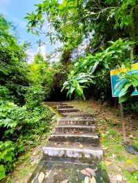 Hiking Trail from Penang Botanic Gardens