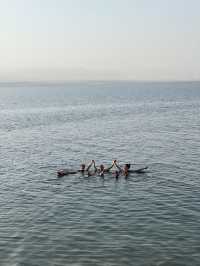 Float, Relax, Repeat: My Dead Sea Adventure in Jordan!