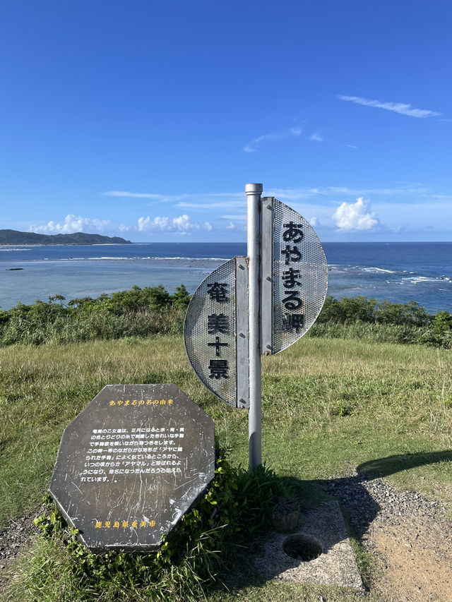 【奄美大島】グルメも観光もアクティビティも楽しすぎる奄美大島！