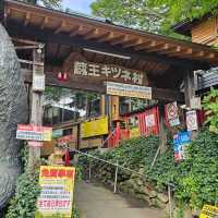 藏王交通不便，參加一日遊很方便