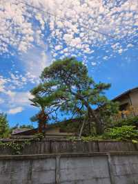東京周邊小江戶川越 - 穿越400年時間之鐘