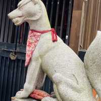 大坂ㅣ參天巨木加持ㅣ有神靈的澁川神社