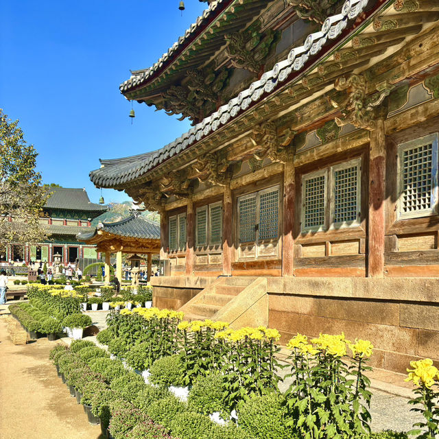 보은 법주사 국화축제