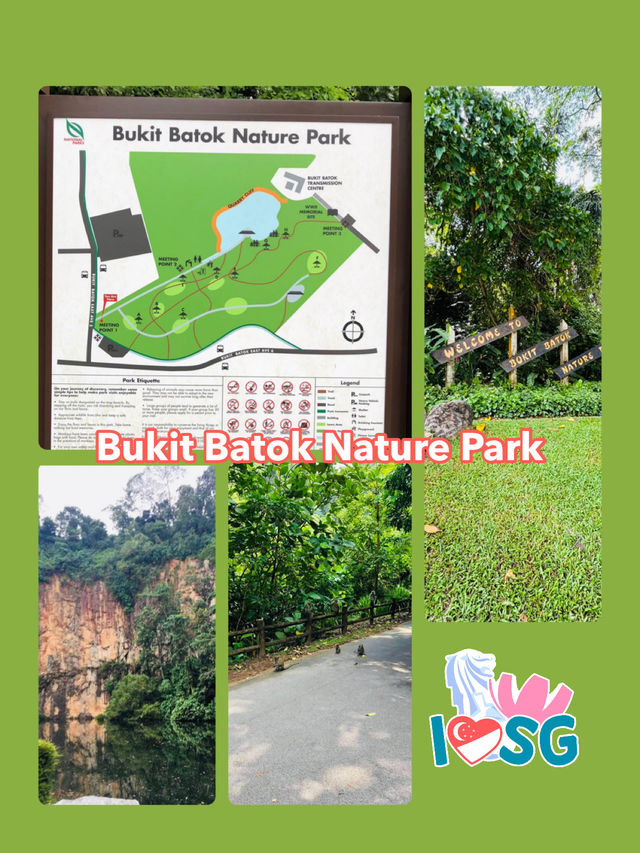 🇸🇬 Berry welcome to Bukit Batok Nature Park