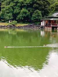 清澄庭園：東京鬧市中的寧靜綠洲🌿💧