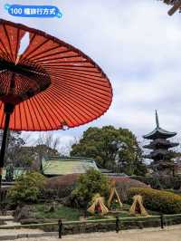 東京賞牡丹花的好去處-上野東照宮牡丹苑