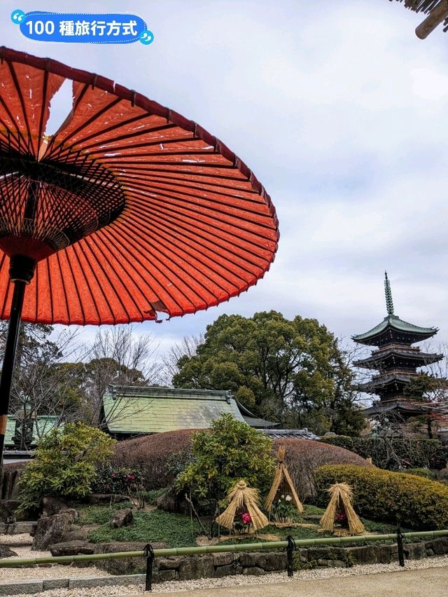 東京賞牡丹花的好去處-上野東照宮牡丹苑