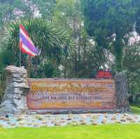 ภูหินร่องกล้า - ลานกางเต็นท์กลางป่าสน