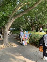 "深圳蓮花山風箏廣場：野餐放風箏的天堂" 🪁🌳🧺